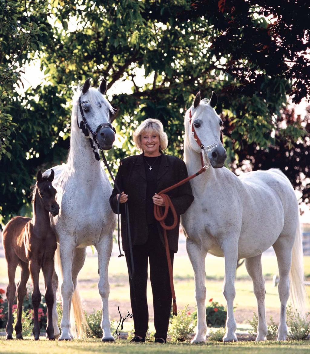 above: Carol Steppe with two of her foundation mares, both Kaiyoum daughters: PGN Kailicia (x PGN Solitaire by Bey Shah), left with her filly by Showkayce, and her nine-time AHW Aristocrat mare Kay