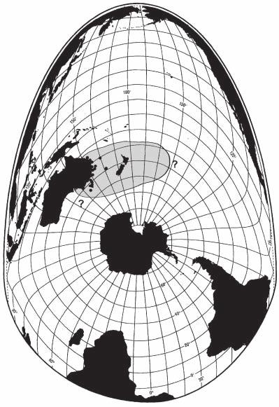 Figure 11. Gibson s (wandering) albatross. Grey shaded areas are an assessment of the general distribution range for the bulk of the population.