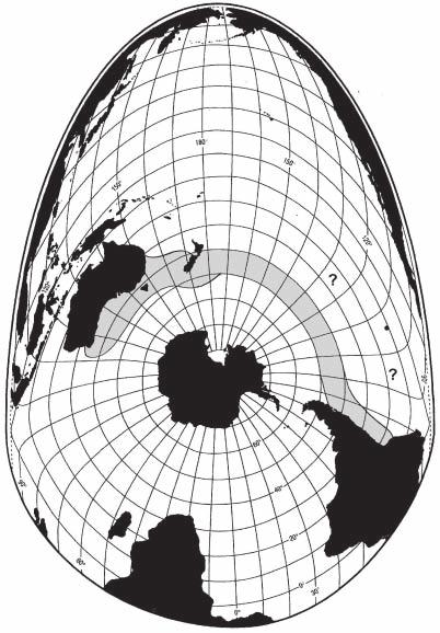 Figure 5. Buller s albatross. Grey shaded areas are an assessment of the general distribution range for the bulk of the population.