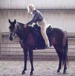 In photo Two I have stopped the horse and am just starting an exercise that I do to show a horse to drop its head and relax. Remember relaxing is part of the element of looseness.
