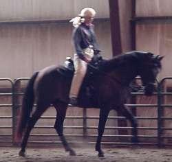 I am re-teaching a horse that has been taught it is not to go with a lower head, that is can.