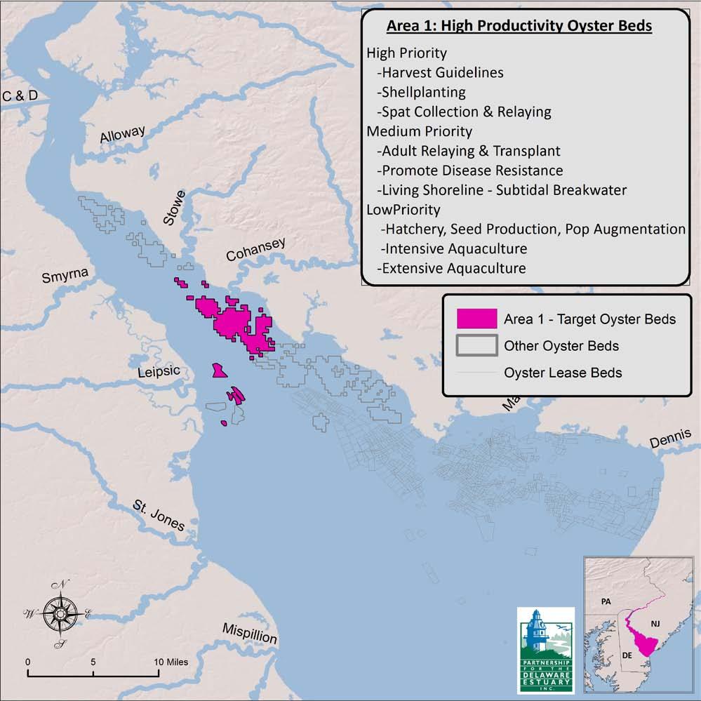 Recommended Oyster Conservation Areas with Tactics Five conservation strategy areas have been identified, which appear in maps labeled: Area 1 High Productivity Oyster Beds, Area 2 Marginal (harvest)