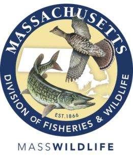 Blue Hills Deer Management Mission Statement The Massachusetts Division of Fisheries and Wildlife (MassWildlife) is responsible for the conservation - including