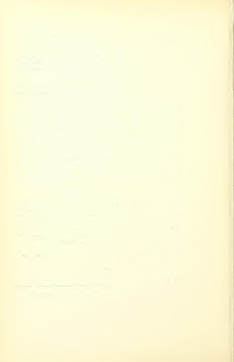 184 Journal New York Entomological Society, [vol. xiv. Genus T/ENIORHYNCHUS Arribalzaga. Tceniorhynchus Arribalzaga, Rev. del Mus. de La Plata, ii, 147, 1891. Coquillcttidia Dyar, Proe. ent. soc.