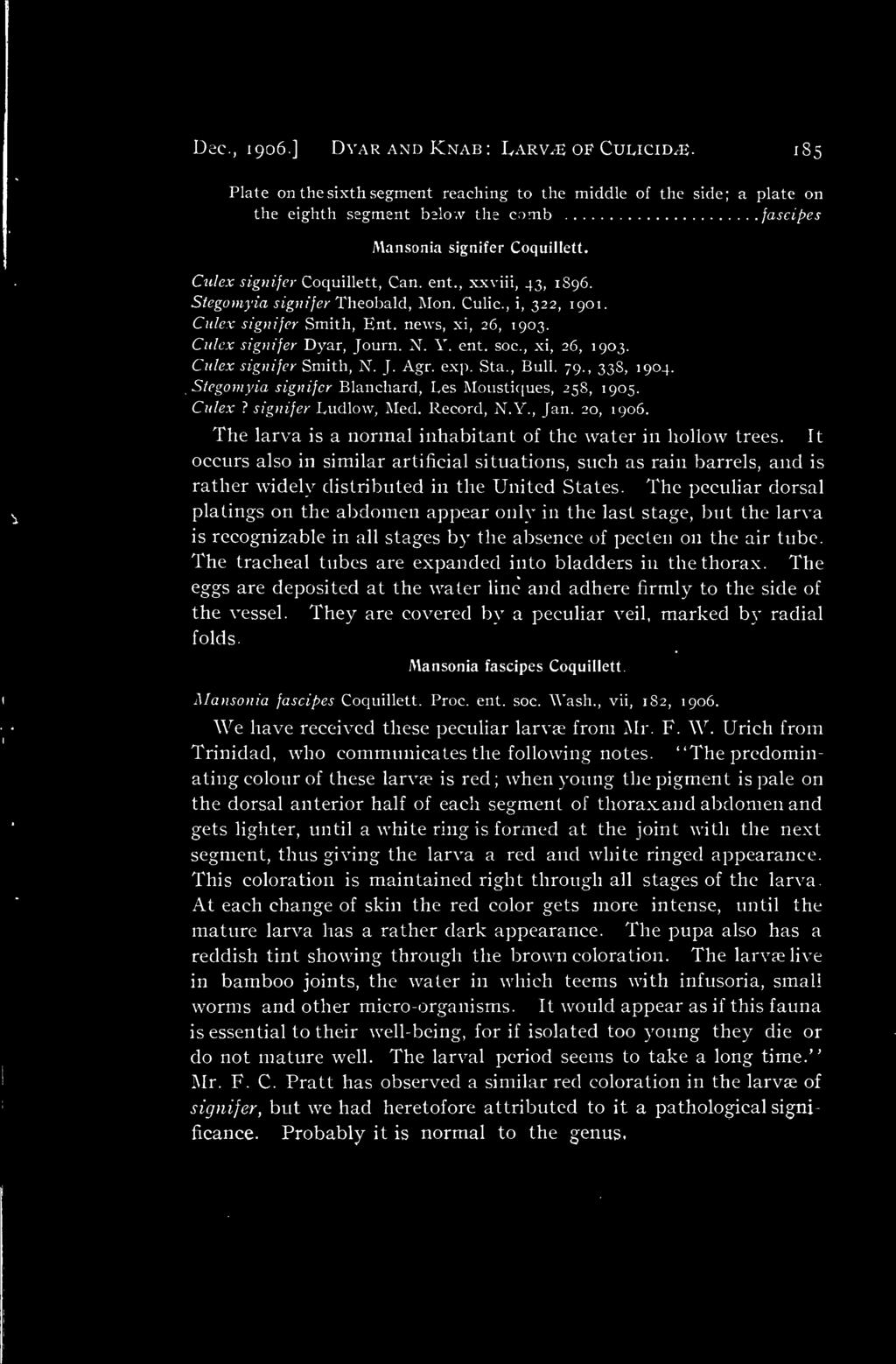 Culex signifer Smith, N. J. Agr. exp. Sta., Bull. 79., 338, 1904. Stegomyia signifer Blanchard, Les Moustiques, 258, 1905. Culex? signifer Ludlow, Med. Record, N.Y., Jan. 20, 1906.