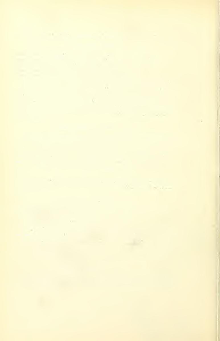 220 Journal New York Entomological Society, [vol. xiv. Culex atratus Theobald Culex atratus Theobald, Mon., Culic, ii, 55, 1901. Melanoconion atratus Grabham in Theobald, Mon. Culic, iii, 238, 1903.