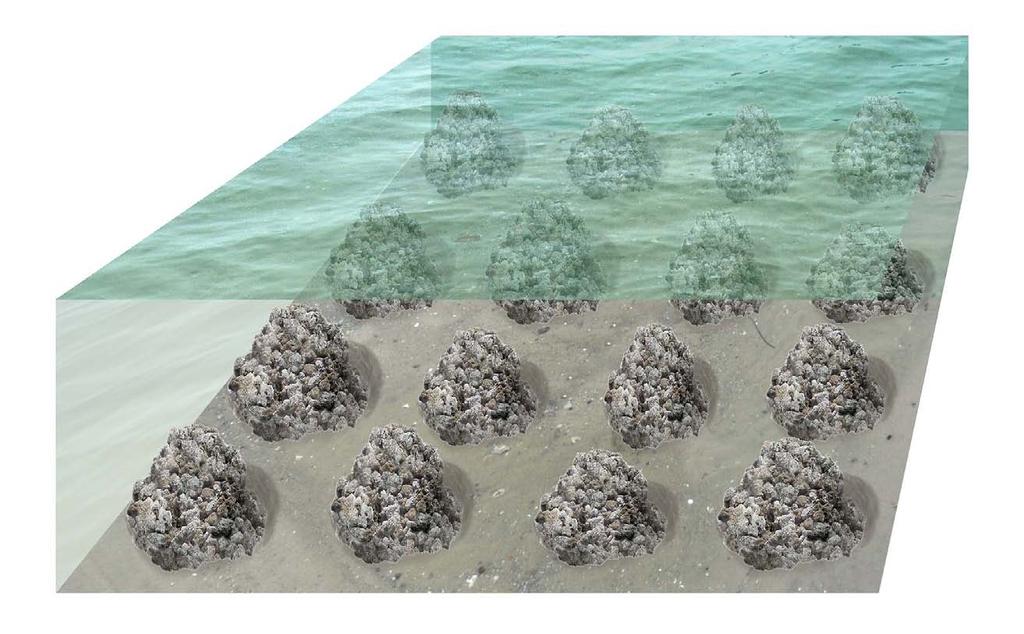 TYPICAL OYSTER SANCTUARY The typical sanctuary consists of mounds of rip rap, with each