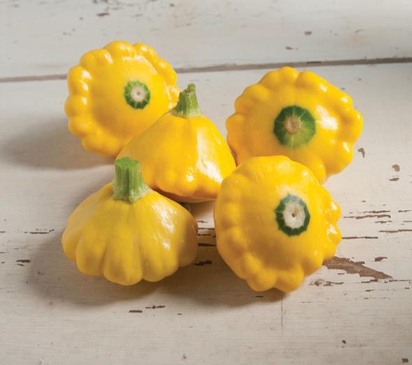Special Garden Project Sunburst Summer Squash Garden Seeds are AVAILABLE at the Office NOW This project is open to all youth of 4-H age enrolled in any horticulture or floriculture project and it