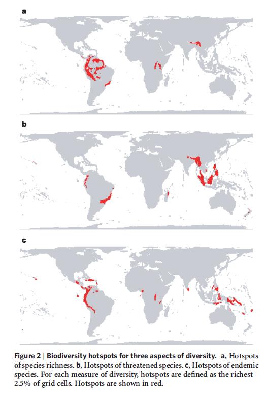 Global hotspots of species richness