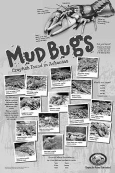 More Mud bugs This activity book is part of a two-piece education program from the Arkansas Game and Fish