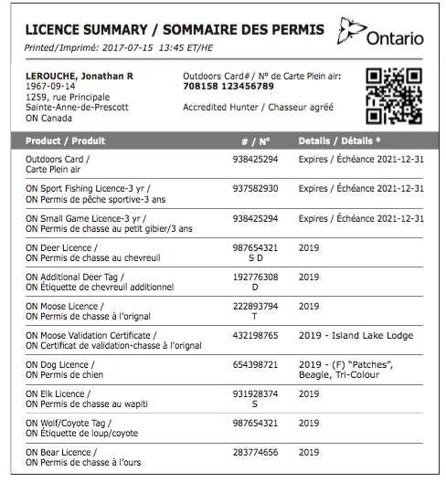 Licence Summary Various types and formats of individual