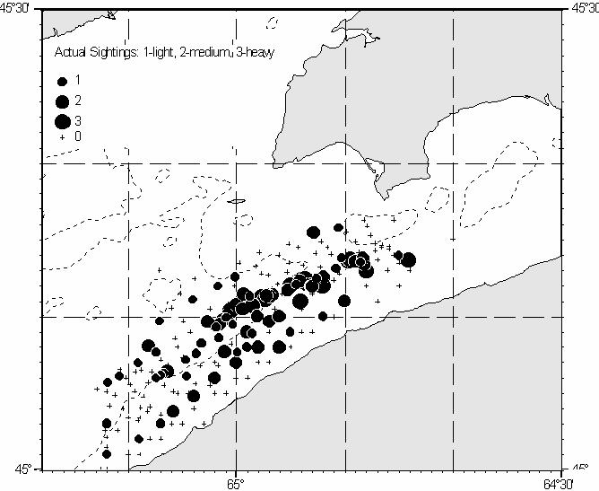 Figure 8. Summary of the Scots Bay August 10, 2003 spawning ground survey transects and the observed distribution of herring. Data for both recording and nonrecording vessels are presented.