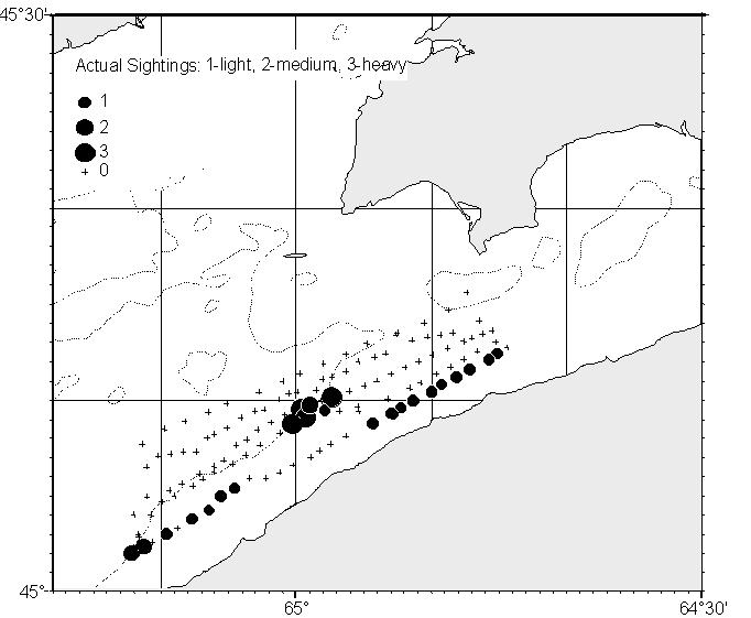 Figure 10. Summary of the Scots Bay August 24, 2003 spawning ground survey transects and the observed distribution of herring. Data for both recording and nonrecording vessels are presented.