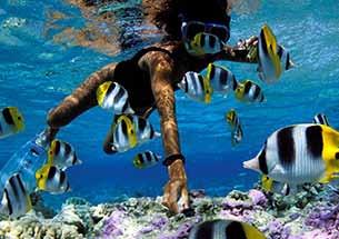 Optional Tours Snorkel Tour Thursday 22nd May 2014 Departs Hotel: 9.00am Go for a snorkel at Hanauma Bay Hawaii, one of the most popular natural attractions in the world!