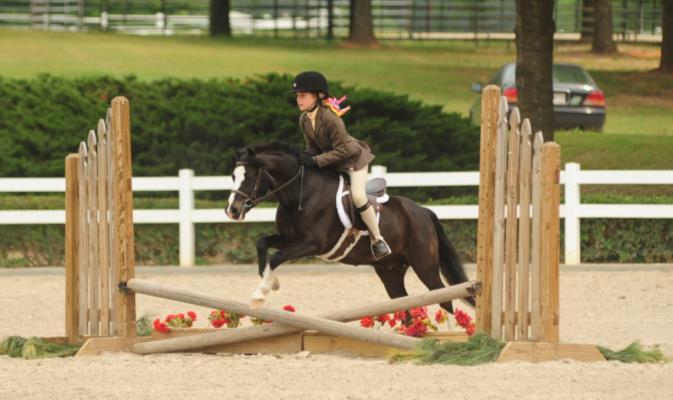 $500 Hunter Derby Round 1 (Saturday): To be shown over natural hunter course 2 6 or 3, w/2 or more optional fences at 2 9 or 3 3.