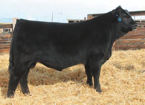 58 %RNK 80 >95 10 10 10 30 70 15 15 5 45 65 25 20 Standout individual that has outstanding EPDs Loaded with style.