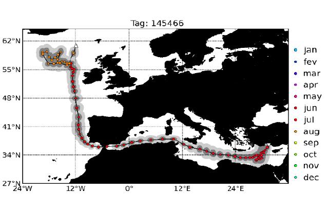 PSAT Tagging BFT from the Eastern Med migrate out to the NE Atlantic and back into the Med Consolidation of Historical