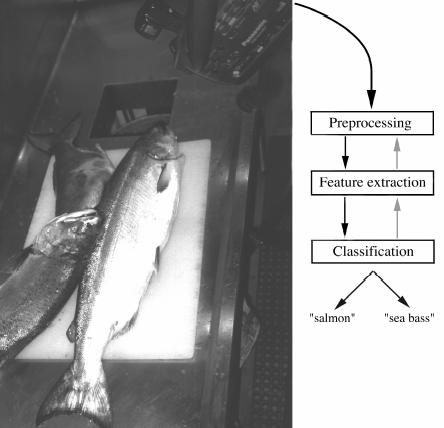 9 Classification A sea bass is generally longer than a salmon: Sea bass has some typical length and this is greater than the salmon one. It gives us a preliminary model for the fish.