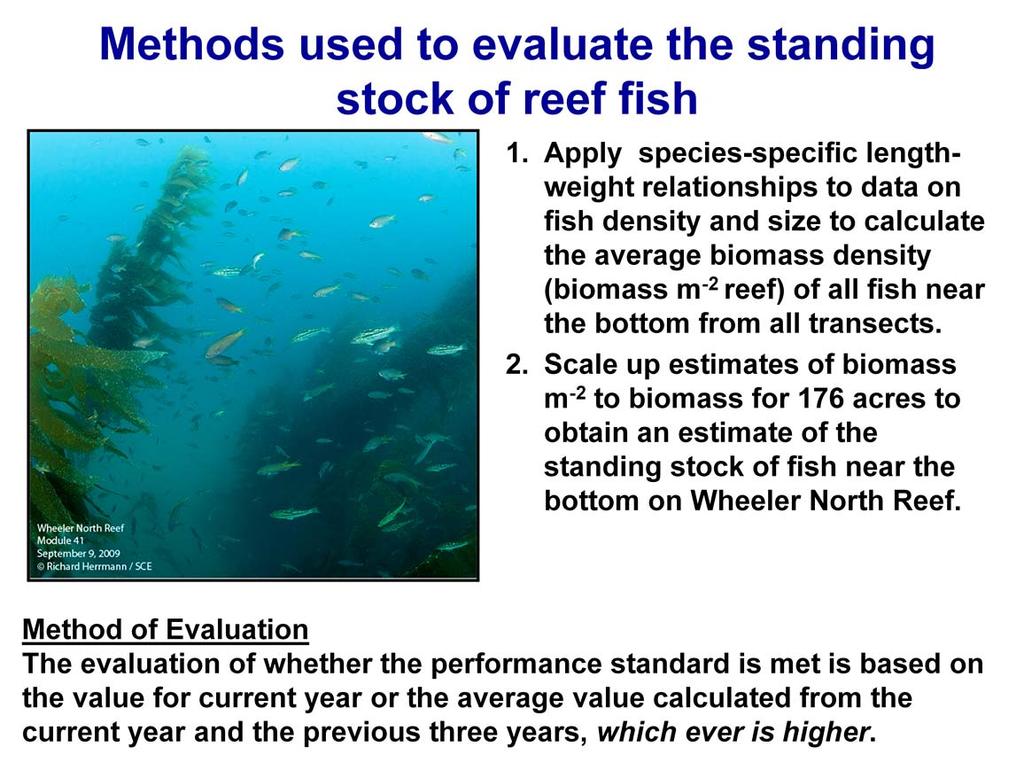 Data on fish density and length collected from the 50 m transects are used to calculate the total standing stock of fish near the bottom on Wheeler North Reef to determine whether it supports 28 tons
