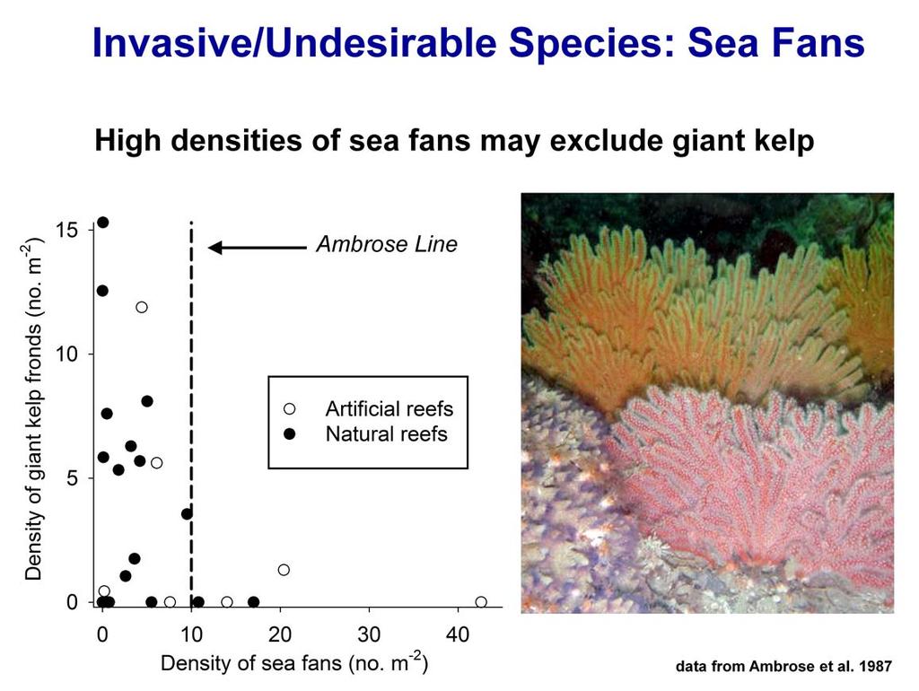 Whether they are natives or non-natives, undesirable or invasive species are those species that attain abundances that are high enough to adversely effect the normal functions of a reef.
