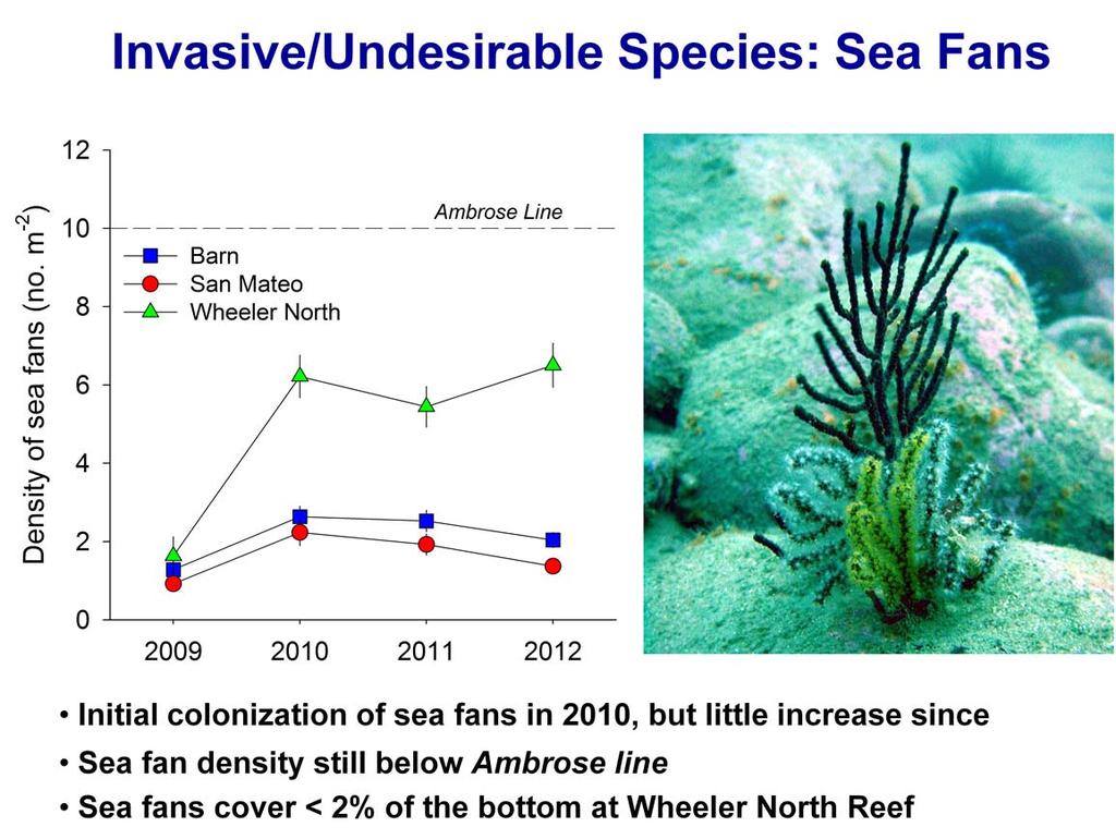 Plotted here are the mean densities of sea fans at Wheeler North Reef for 2009-2011. The vertical lines through the symbols represent the standard error of the means.