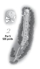 The green which slopes to the front-left is guarded by a deep bunker to the left and a large shallow bunker on the right. Narrow dogleg left.