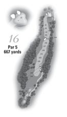 Players should be pleased to escape with par. The putting surface is slender but flat. The signature hole at Firestone.