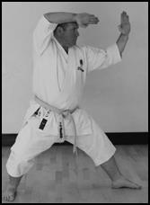 The correct use of strength in Kata is critical and is a difference concept to that of differentiation between hard and soft moves. Softer moves can also be performed with considerable strength.