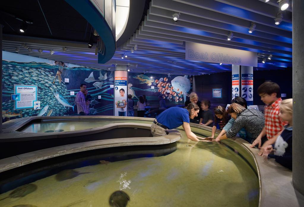 HANDS-ON EXPERIENCES Along the edge of the touch pools, visitors are invited to graze their hands over various