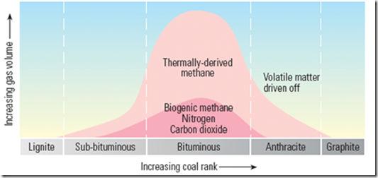 Permeability and the Coal Cleat System Butt and face cleats create permeability anisotropy High rank coal: cleating destroyed Decreasing Perm Increasing Adsorption Commercial permeability in coals is
