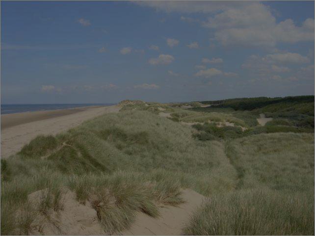 Waves and beach erosion Sand Dunes: Wind blown sand