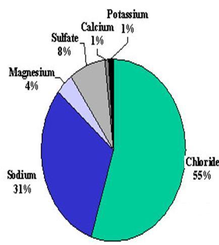 Ocean Water Chemistry NaCl (Sodium Chloride) most abundant