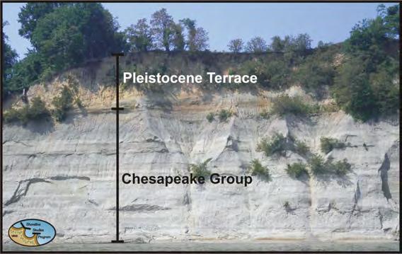 They are composed of marine and deltaic sands, silts and clays and exhibit a stratigraphic sequence of beds that vary in color, thickness and resistance.