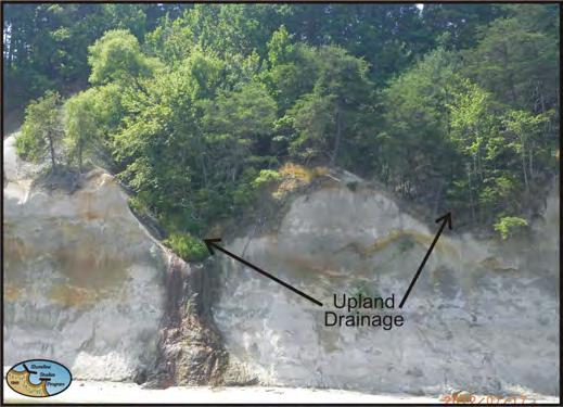 According to Miller (1983), erosion of the bluffs provides 8.3 cubic meters/meter/year of sediment to the littoral system, the greatest by far along the Virginia side of the Potomac River.