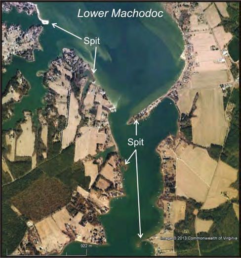 numerous smaller contiguous creeks (Figure 2-9). The Potomac River shore banks are 15 to 20 feet in height and consist of exposures of the Lynnhaven and Poquoson Members of the Tabb Formation.