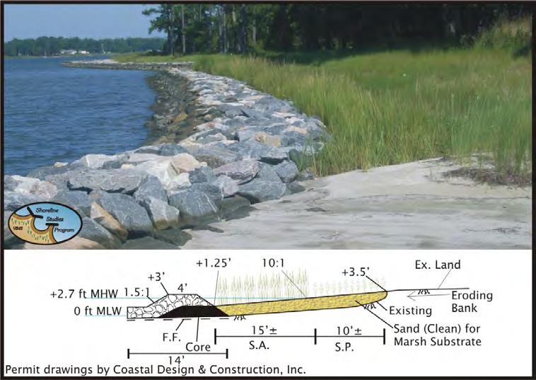 Creating a more gradual slope can involve encroaching into landward habitats (banks, riparian, upland) through grading and into nearshore habitats by converting existing sandy bottom to marsh or rock.