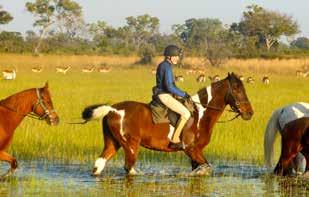 OVERVIEW Okavango Horse Safaris is based in the vast inland Okavango Delta, an area which teems with wildlife and birdlife.