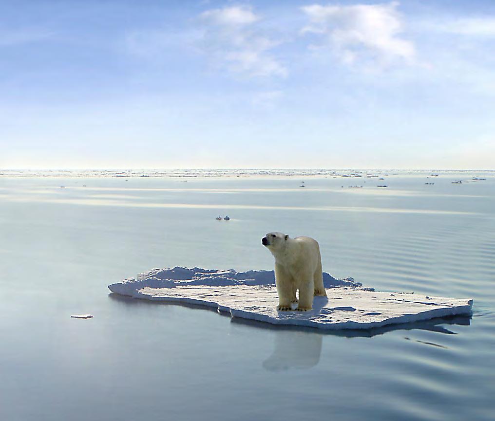 Global warming is threatening polar bears habitat. Earth s atmosphere is trapping heat and is melting ice in the polar Bear s habitat. People and global warming are the biggest threats to polar bears.