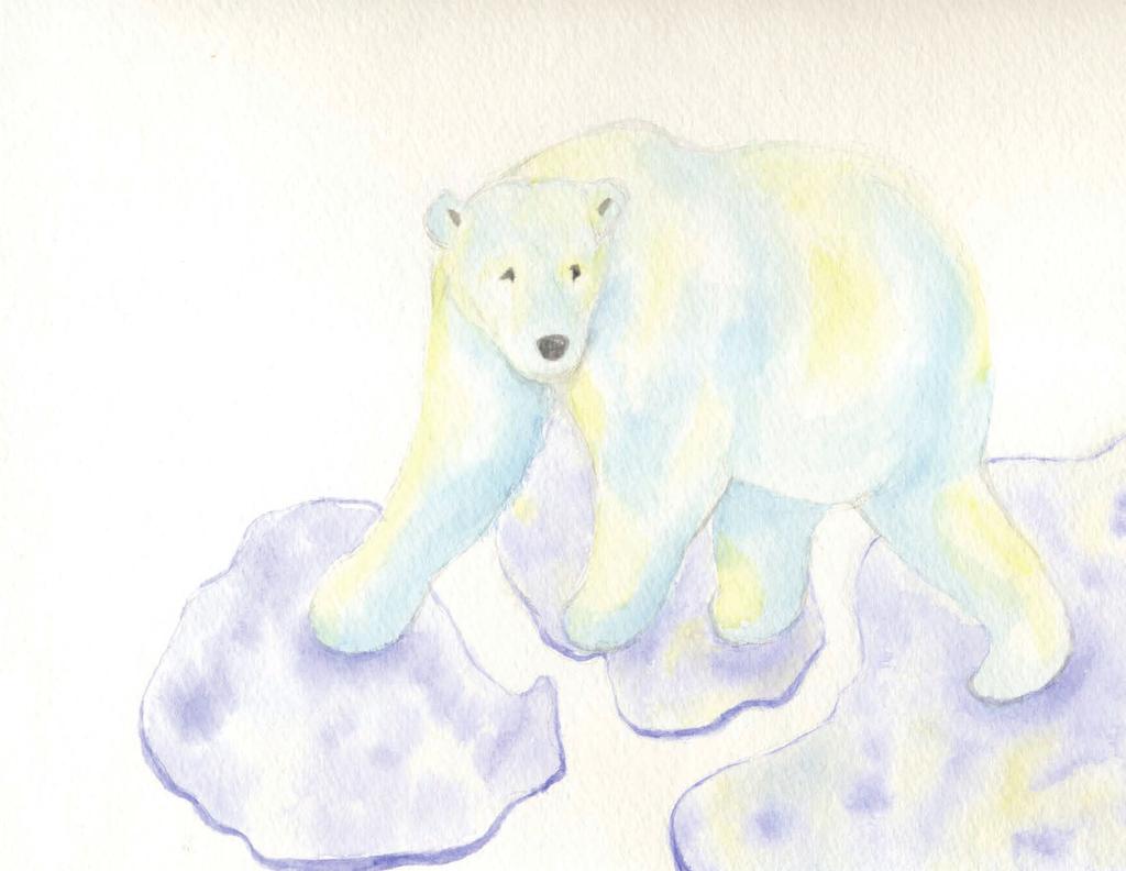 Polar bears fur is without pigment so it takes on the hue of the sun.