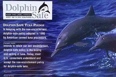 Dolphin-Safe Tuna Law failed to protect dolphins Consumer ire fanned by video Earth