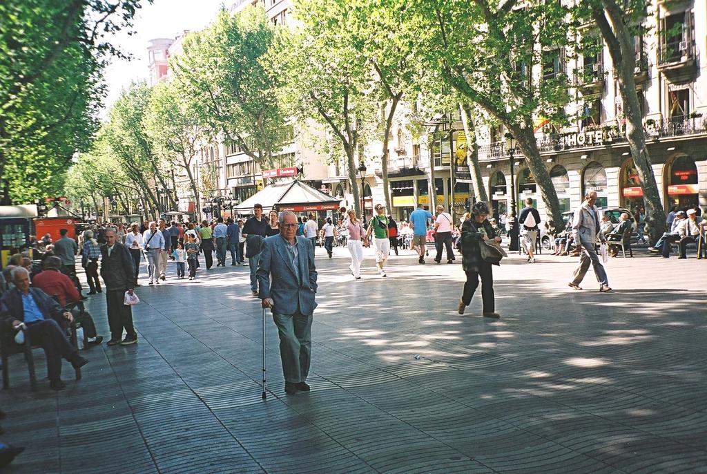 Pedestrian median