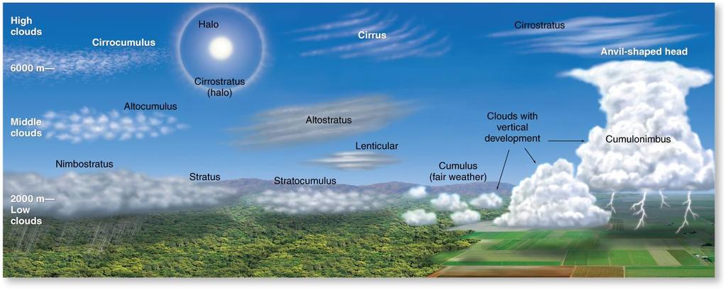 Cloud Types Generalized cloud chart Cloud classification