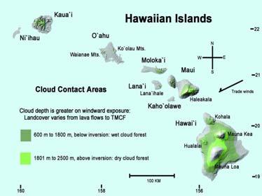 Importance of Fog in Hawai i Cloud Water Interception: Direct Contribution of Fog to the