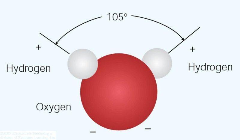 molecule is attracted to the