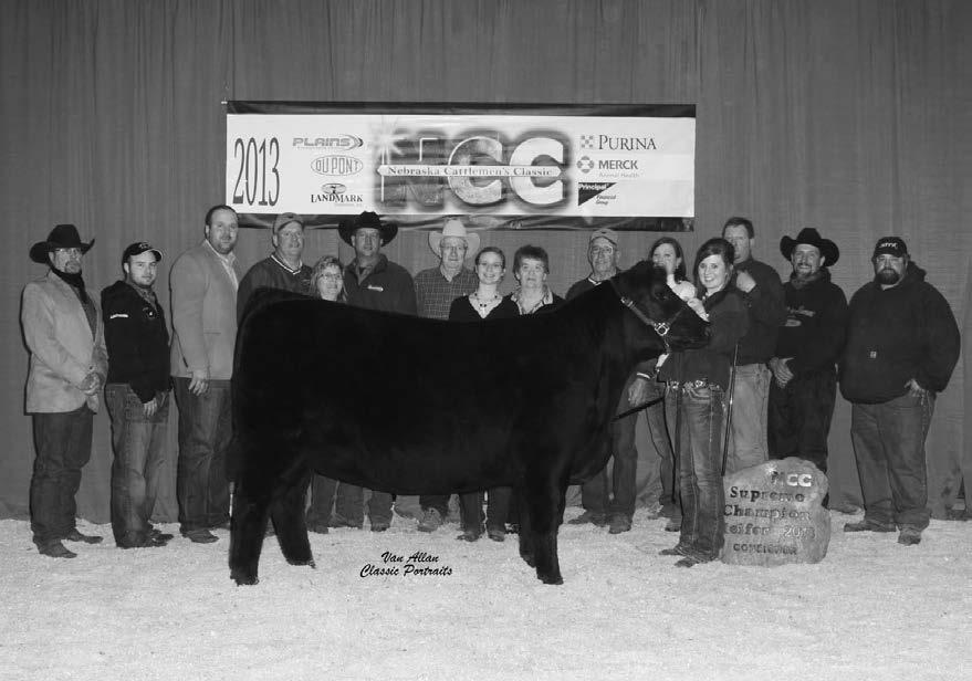 SHOW RING SUCCESS You Go Girl!
