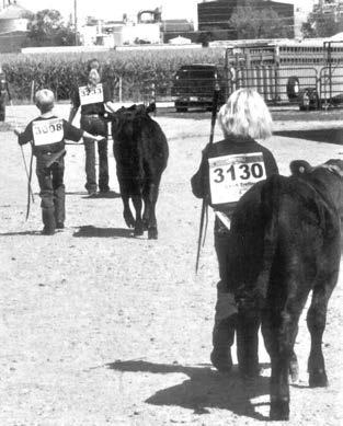 Nebraska Cattlemen s Classic.