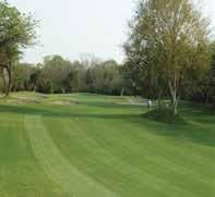 Planning and design execution of cart paths. Grassing and grow-in activities. DRIVING RANGE & CHIP/PUTT GOLF FACILITIES CONSTRUCTION Construction of Golf Driving Range and all features.