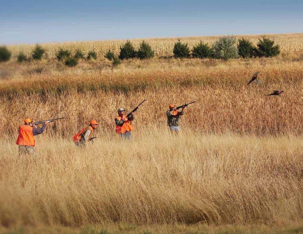 Unrivaled Pheasant Hunting, Plain and Simple.
