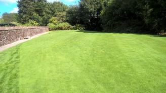 Figure 8: Very good grass cover and vigour seen to the 2 nd which was typical of all tees.