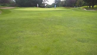 Overseeding would only work to the more droughty parts of the 2 nd and 10 th however at the